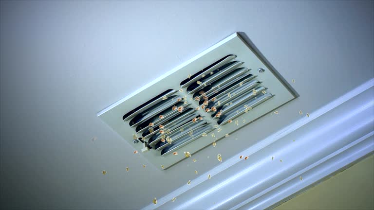 Best Affordable Air Duct Cleaning  in Chester, CA